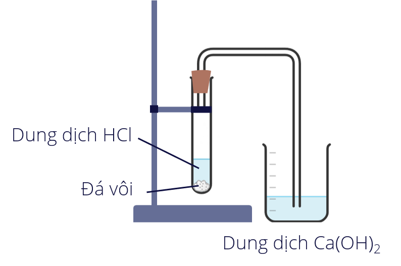 Thí nghiệm tìm hiểu tính chất hóa học của oxide acid olm.